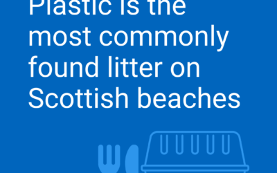 Scottish Government wants your views