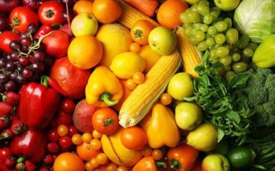 We want to help put healthy food on everyone’s table. Please support us to make that a reality