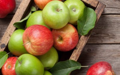Looking for a snack? Who knew one little apple had so many benefits ?‍♂️